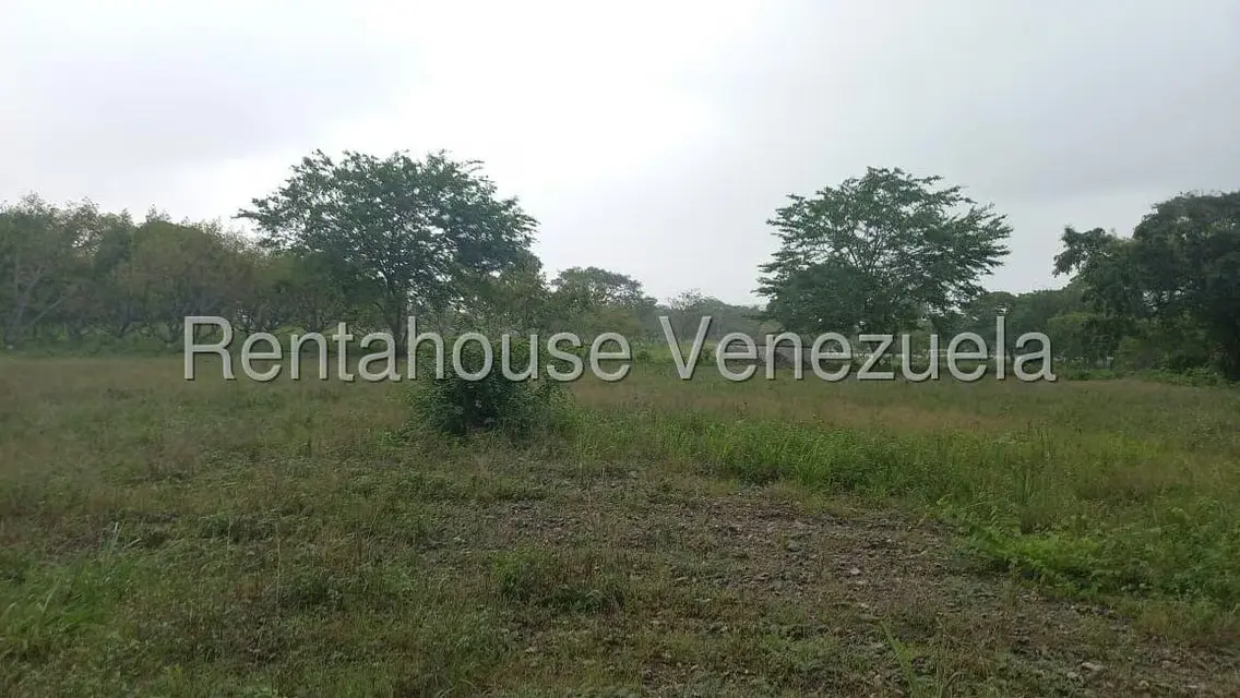Terreno (Industrial) en Venta en Jose A Paez, Yaracuy - 6