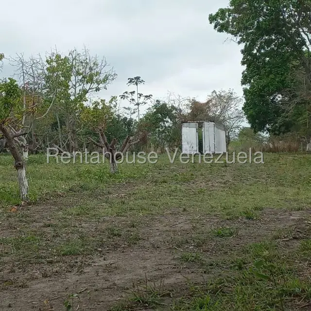 Terreno (Industrial) en Venta en Jose A Paez, Yaracuy - 7