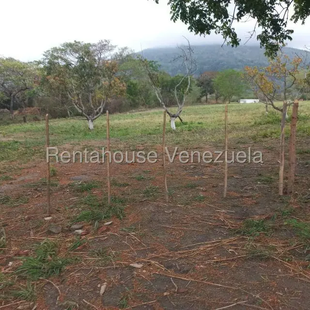 Terreno (Industrial) en Venta en Jose A Paez, Yaracuy - 8