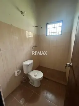 Vista 5
