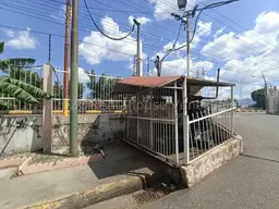 Vista 5