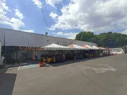 Vista 7
