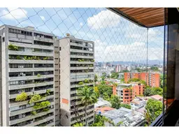 Vista 14
