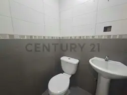Vista 5