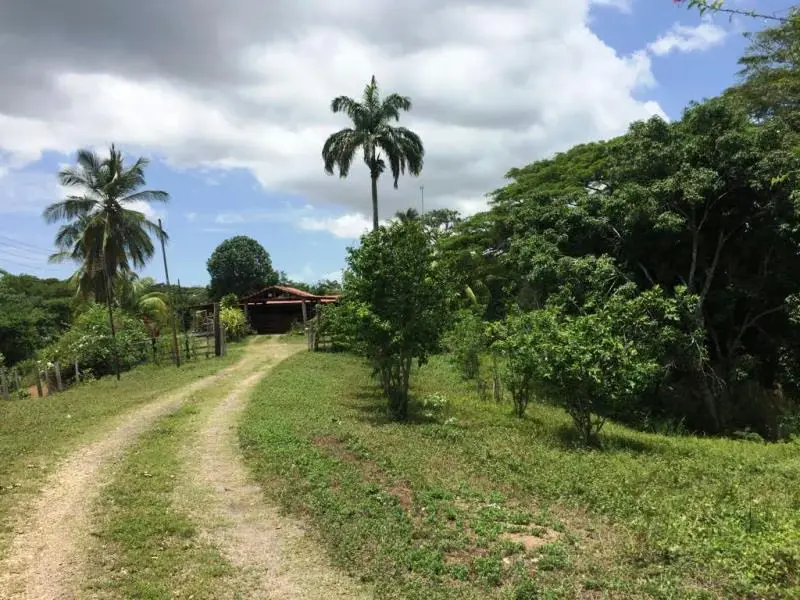 Terreno (Finca) en Venta en Prado Mar, Falcon