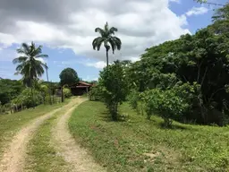 Vista 1
