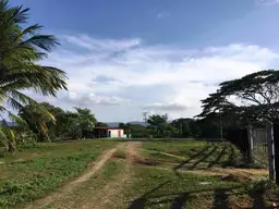 Vista 3