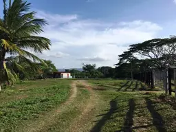 Vista 4