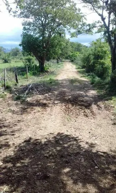 Terreno (Finca) en Venta en Prado Mar, Falcon - 5