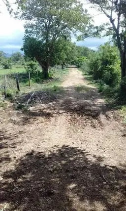 Vista 5