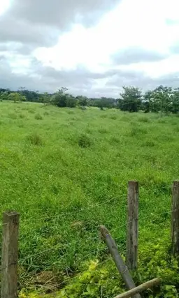 Vista 6