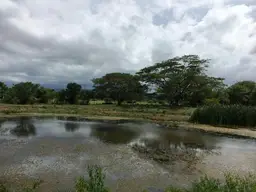 Vista 7