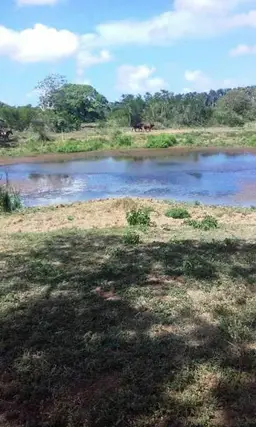 Vista 9