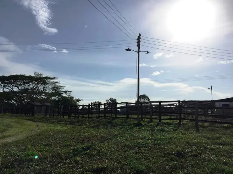 Terreno (Finca) en Venta en Prado Mar, Falcon - 10