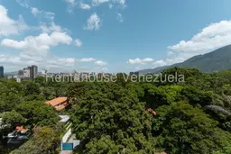 Vista 16