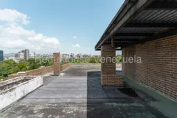 Vista 31