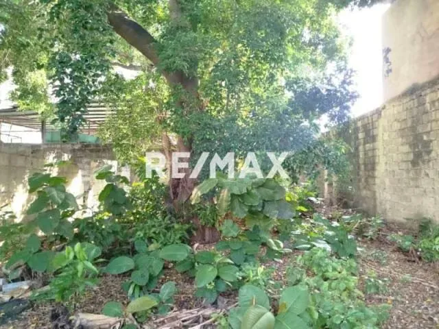Terreno en Venta - Calle negro primero, centro de Maracay - 3