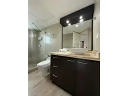 Vista 7