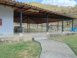 View 24
