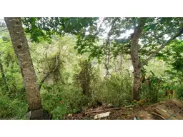 View 5