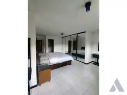 Vista 26