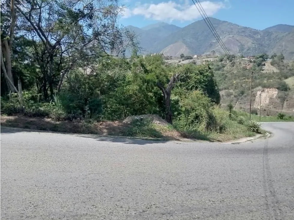 Vendo terreno 50.000 m2 Altos de Parque Caiza 3438 - 14