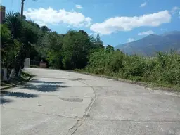 View 15