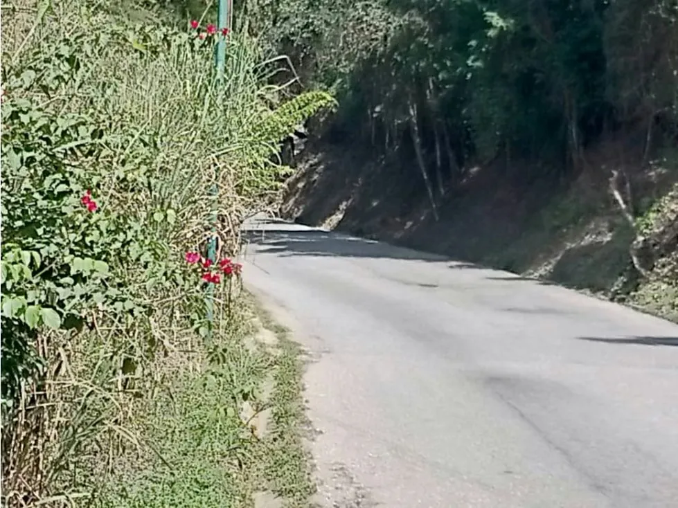 Vendo terreno 50.000 m2 Altos de Parque Caiza 3438 - 16