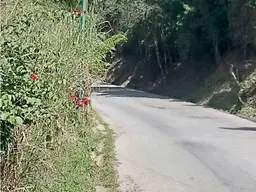 View 16