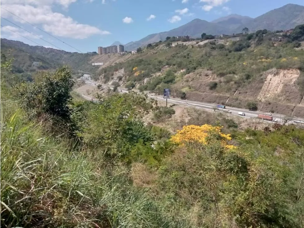Vendo terreno 50.000 m2 Altos de Parque Caiza 3438 - 3