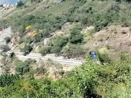 View 23