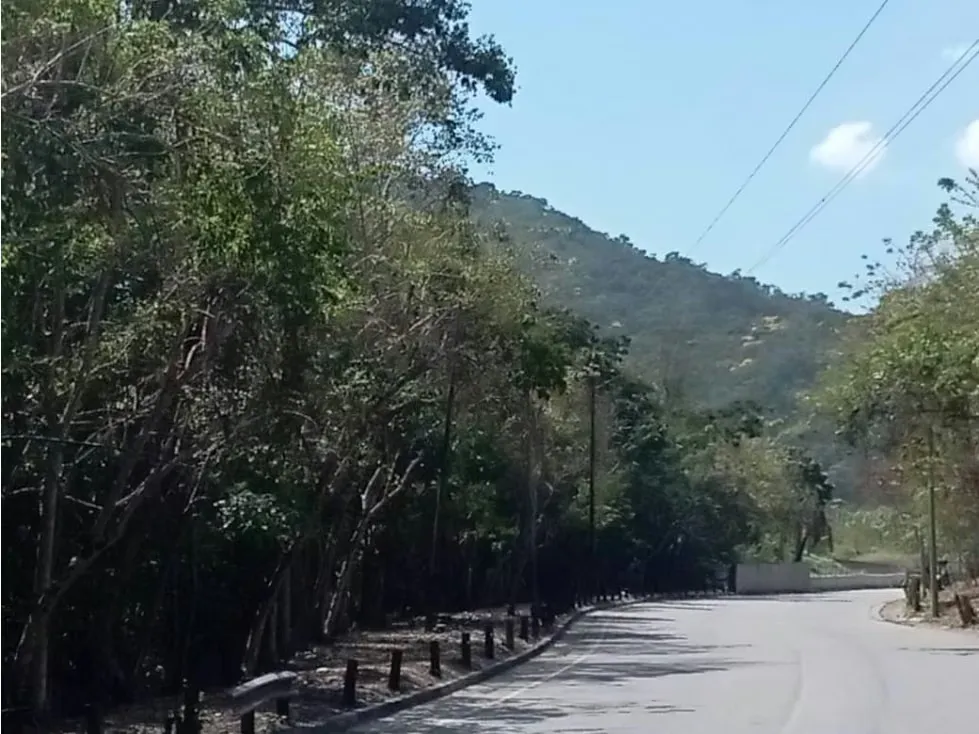 Vendo terreno 50.000 m2 Altos de Parque Caiza 3438 - 7