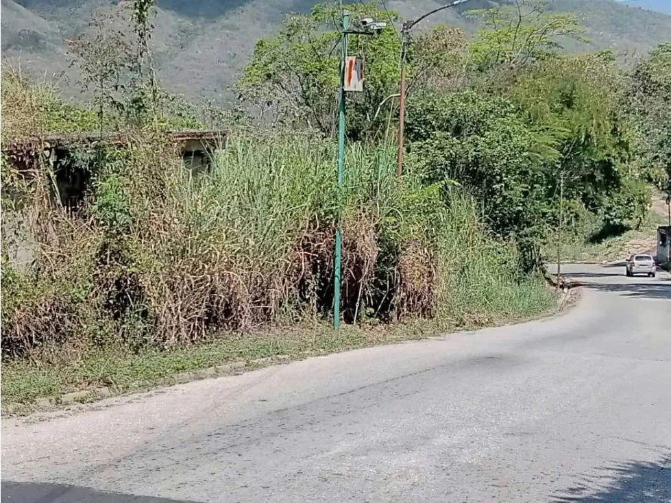 Vendo terreno 50.000 m2 Altos de Parque Caiza 3438 - 8