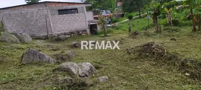VENTA DE TERRENO Ubicado en la LAGUNA DE PALMIRA, Municipio Guasimos, San Cristóbal Estado Táchira, Sector Aldea El Abejal