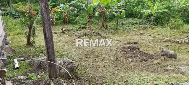 VENTA DE TERRENO Ubicado en la LAGUNA DE PALMIRA, Municipio Guasimos, San Cristóbal Estado Táchira, Sector Aldea El Abejal - 4