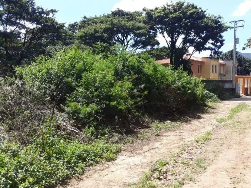 Terreno en la Asunción, Salamanca.