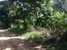 Vista 4