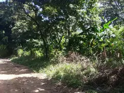 Vista 5