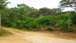 Vista 9