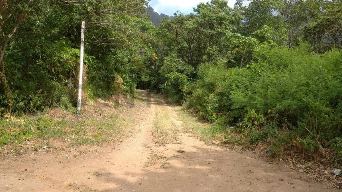 Terreno en la Asunción, Salamanca. - 10