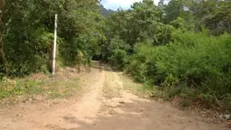 Vista 10