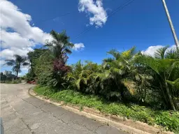 Vista 4