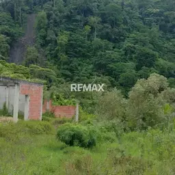 Vista 4