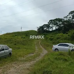 Vista 6