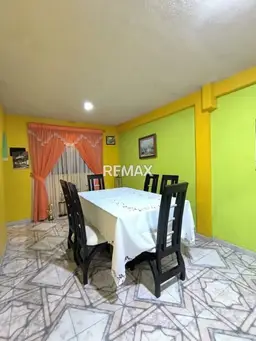 Vista 6