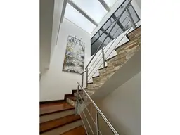 Vista 19