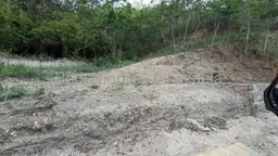 View 14