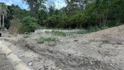 View 15
