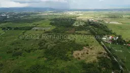 View 19