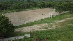 View 42